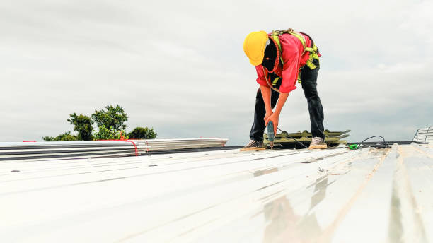 Best Roofing for New Construction  in Perryville, AR